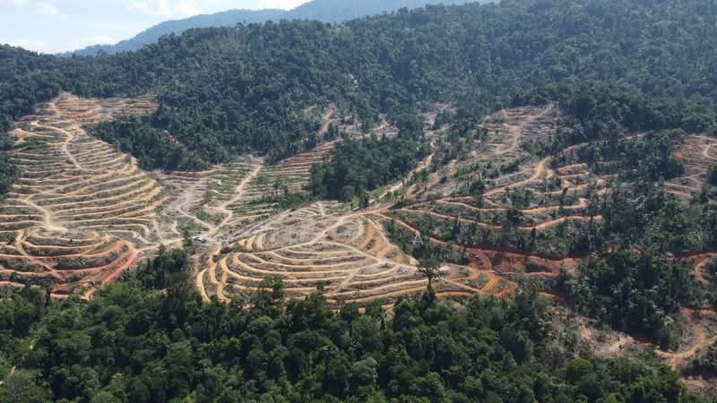 Tanah Pertanian untuk Dijual di Ulu Yam (Selangor) - Norlela . - Exterior - PropertyGuru.com.my