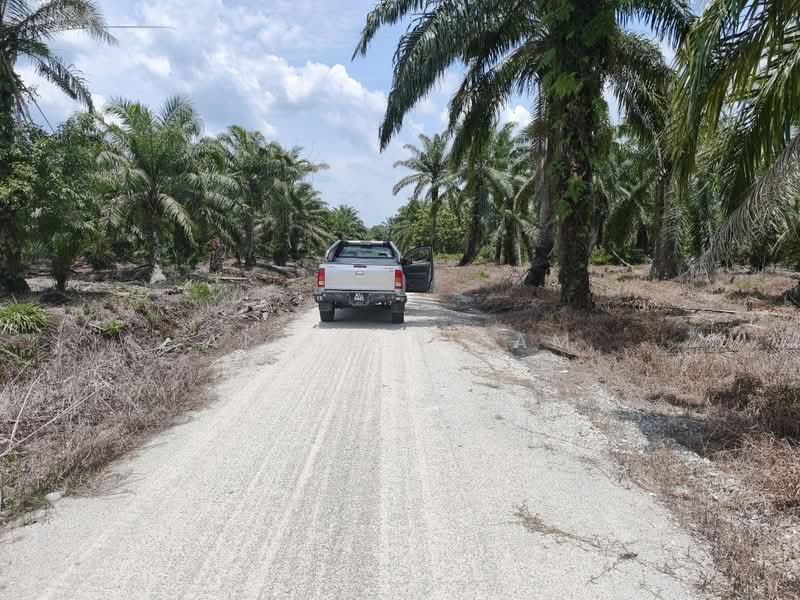 Agricultural Land for Sale in Muar (Johor) - AIRUL NIZAM - Exterior - PropertyGuru.com.my