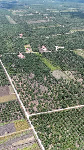 Agricultural Land for Sale in Muar (Johor) - AIRUL NIZAM - Exterior - PropertyGuru.com.my