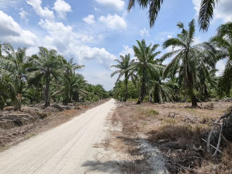 Agricultural Land for Sale in Muar (Johor) - AIRUL NIZAM - Exterior - PropertyGuru.com.my