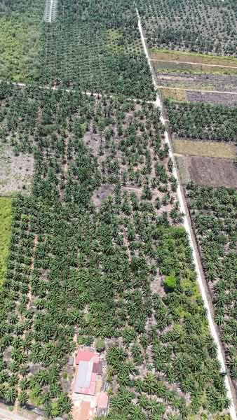 Agricultural Land for Sale in Muar (Johor) - AIRUL NIZAM - Exterior - PropertyGuru.com.my