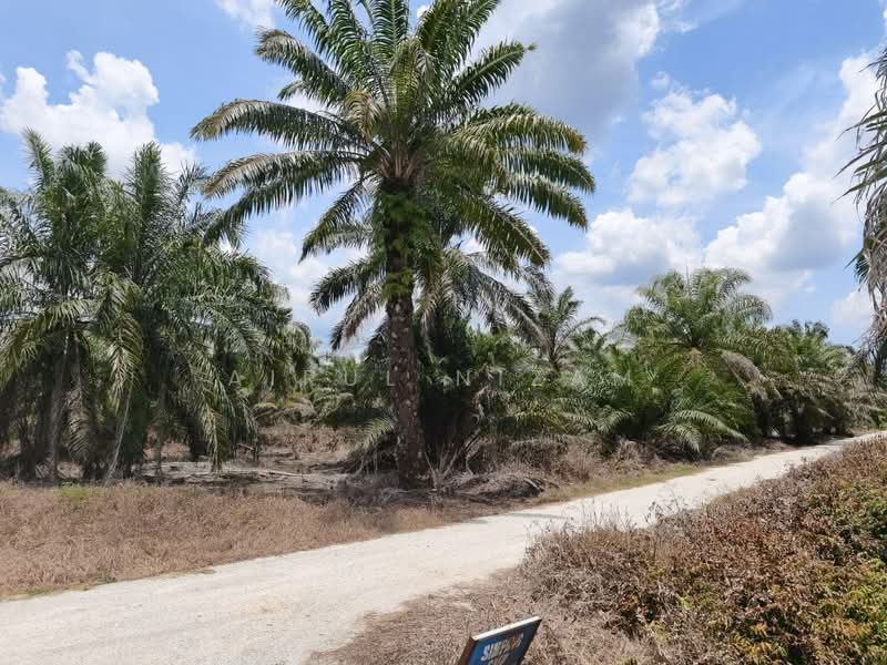 Agricultural Land for Sale in Muar (Johor) - AIRUL NIZAM - Exterior - PropertyGuru.com.my