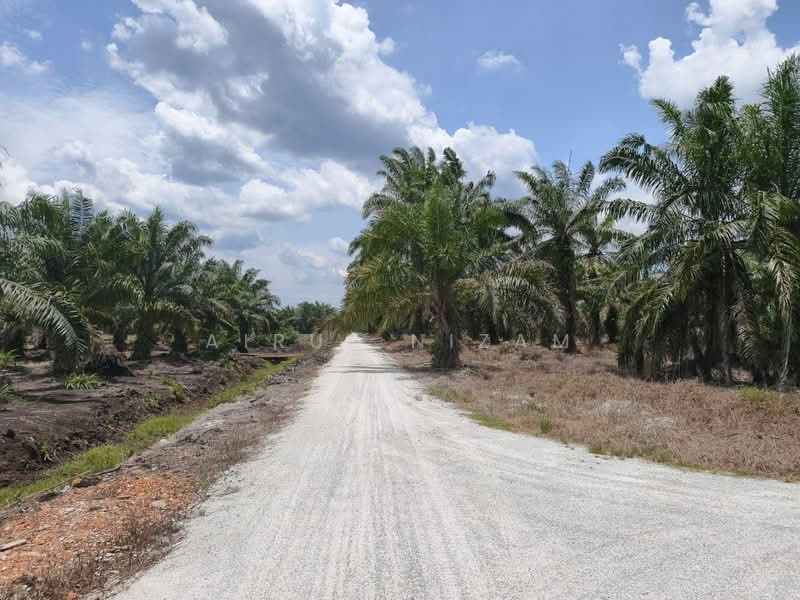 Agricultural Land for Sale in Muar (Johor) - AIRUL NIZAM - Exterior - PropertyGuru.com.my