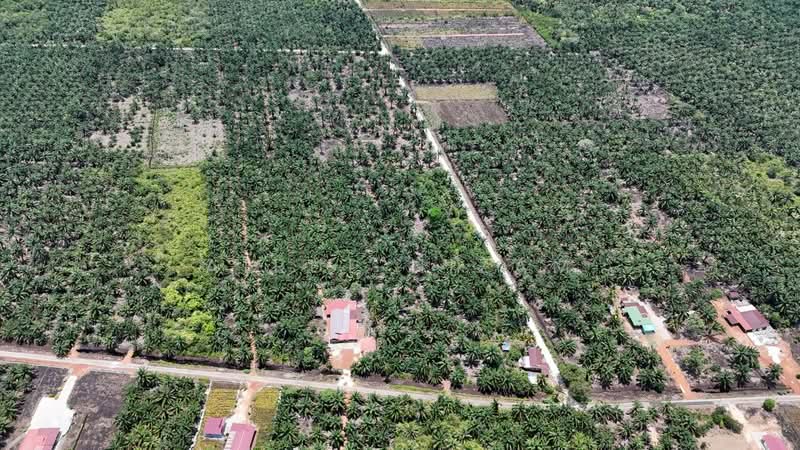 Agricultural Land for Sale in Muar (Johor) - AIRUL NIZAM - Exterior - PropertyGuru.com.my