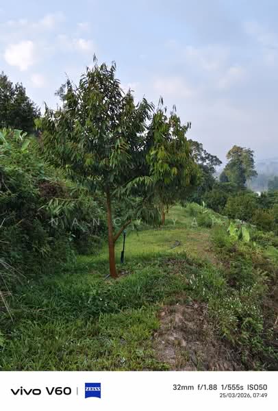 Agricultural Land for Sale in Karak (Pahang) - Nancy Yap - Exterior - PropertyGuru.com.my