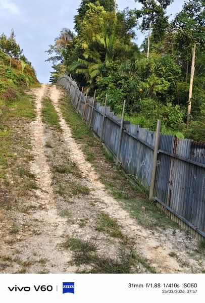 Agricultural Land for Sale in Karak (Pahang) - Nancy Yap - PropertyGuru.com.my