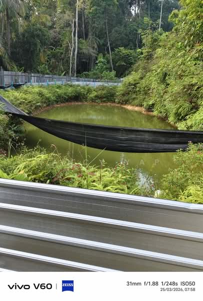 Agricultural Land for Sale in Karak (Pahang) - Nancy Yap - PropertyGuru.com.my