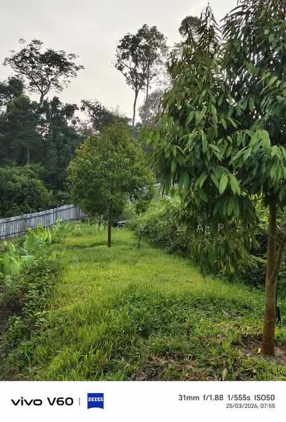 Agricultural Land for Sale in Karak (Pahang) - Nancy Yap - PropertyGuru.com.my