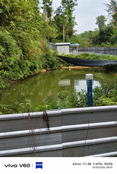 Agricultural Land for Sale in Karak (Pahang) - Nancy Yap - PropertyGuru.com.my