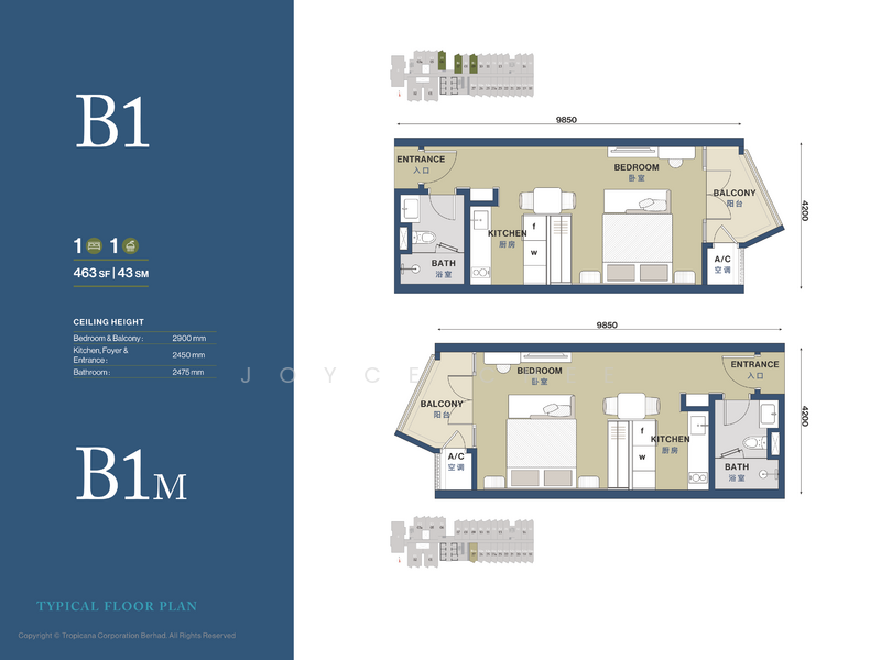 For Rent Tropicana Cenang