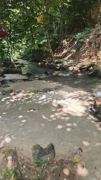 Kampung Kemensah - 3