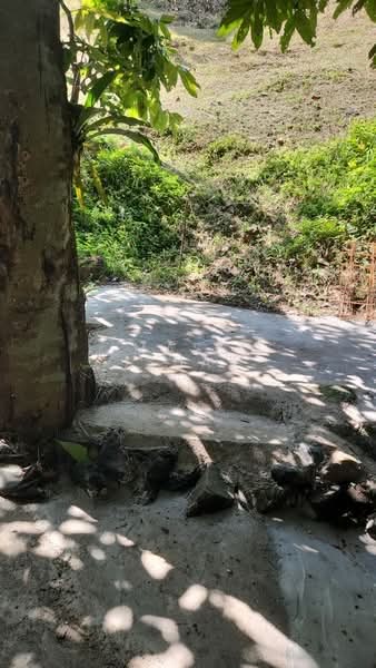 Kampung Kemensah - 4