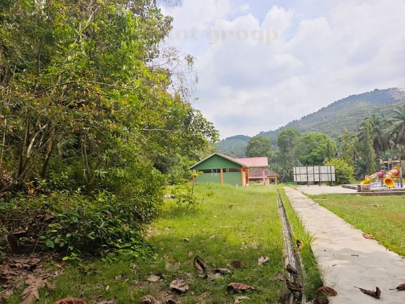 Agricultural Land for Sale in Bandar Baharu (Kedah) - Teh Guan Fong - Exterior - PropertyGuru.com.my
