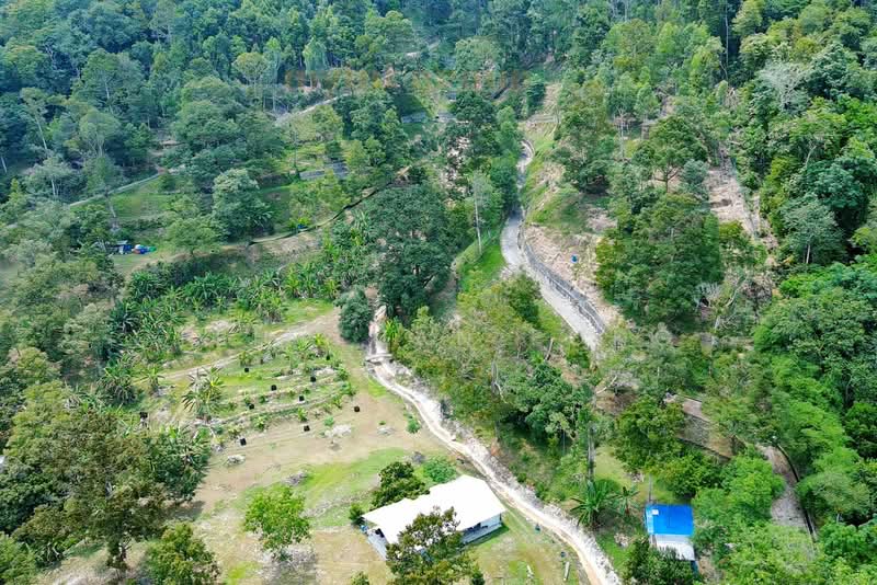 9.86 acre Agricultural Land | Next to Waterfall | Serdang | Bandar Baharu | Kedah RM5 psf untuk Untuk Dijual - RM 2,147,000, Apr 2026 - Exterior - PropertyGuru.com.my