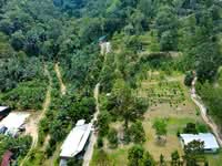 For Sale - 9.86 acre Agricultural Land | Next to Waterfall | Serdang | Bandar Baharu | Kedah RM5 psf
