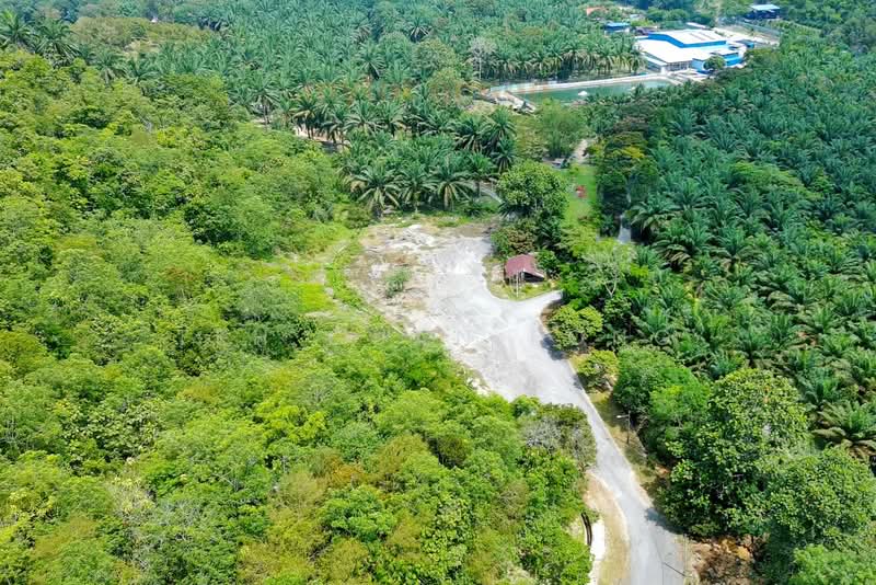 9.86 acre Agricultural Land | Next to Waterfall | Serdang | Bandar Baharu | Kedah RM5 psf untuk Untuk Dijual - RM 2,147,000, Apr 2026 - Exterior - PropertyGuru.com.my