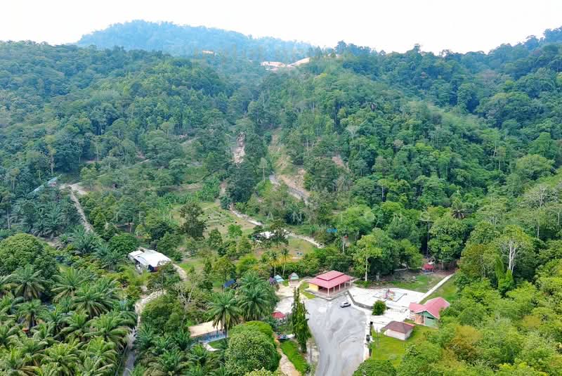 Agricultural Land for Sale in Bandar Baharu (Kedah) - Teh Guan Fong - Exterior - PropertyGuru.com.my
