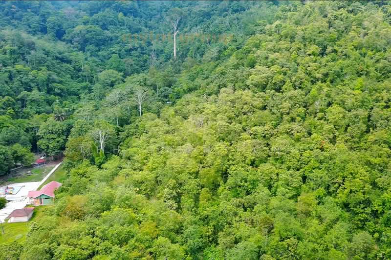 9.86 acre Agricultural Land | Next to Waterfall | Serdang | Bandar Baharu | Kedah RM5 psf untuk Untuk Dijual - RM 2,147,000, Apr 2026 - Exterior - PropertyGuru.com.my