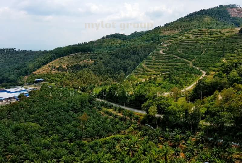 9.86 acre Agricultural Land | Next to Waterfall | Serdang | Bandar Baharu | Kedah RM5 psf untuk Untuk Dijual - RM 2,147,000, Apr 2026 - Exterior - PropertyGuru.com.my