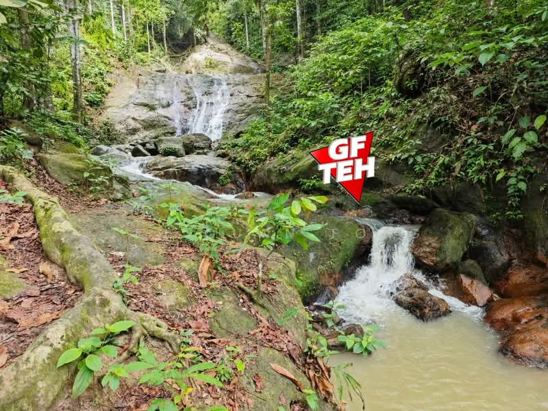 Agricultural Land for Sale in Bandar Baharu (Kedah) - Teh Guan Fong - PropertyGuru.com.my