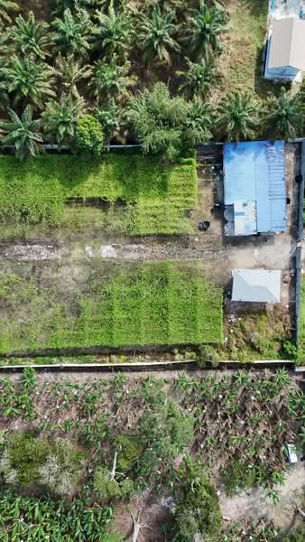Pontian Agricultral land untuk Untuk Dijual - RM 750,000, Mac 2026 - Exterior - PropertyGuru.com.my