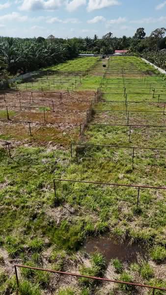 Pontian Agricultral land untuk Untuk Dijual - RM 750,000, Mac 2026 - Exterior - PropertyGuru.com.my