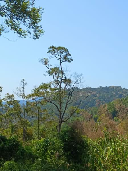 Agricultural Land for Sale in Air Hitam (Ayer Itam) - Alex Cheah - Exterior - PropertyGuru.com.my