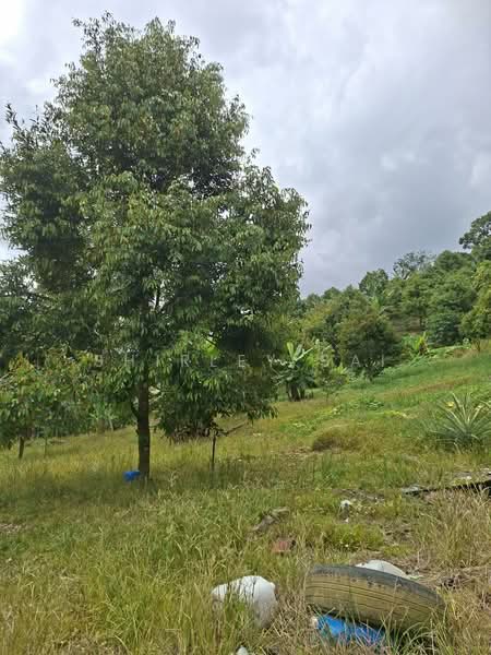 Kampung Sungai Chetang untuk Untuk Dijual - RM 2,800,000, Apr 2026 - Exterior - PropertyGuru.com.my