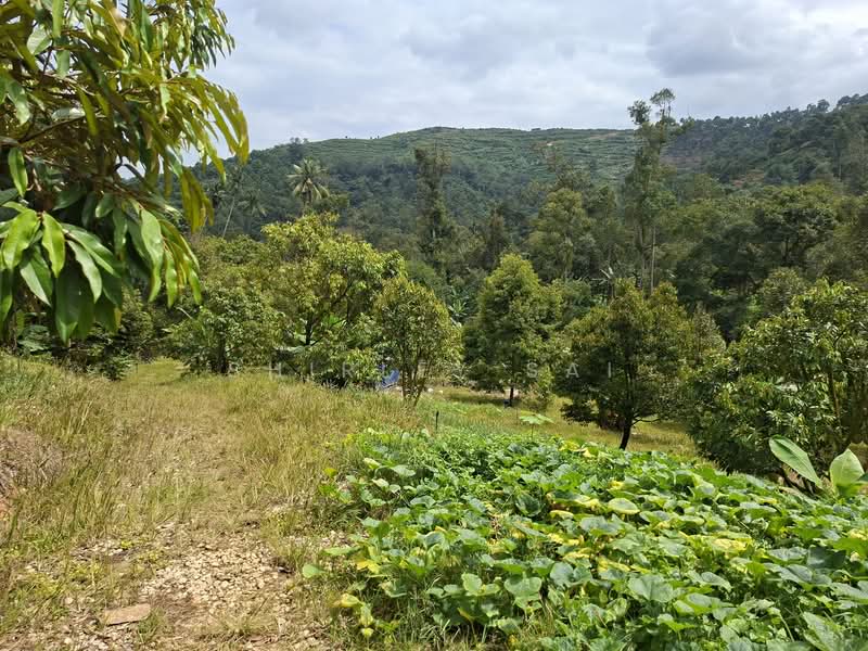 Kampung Sungai Chetang untuk Untuk Dijual - RM 2,800,000, Apr 2026 - Exterior - PropertyGuru.com.my