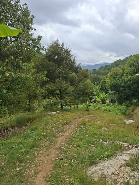 Kampung Sungai Chetang untuk Untuk Dijual - RM 2,800,000, Apr 2026 - PropertyGuru.com.my