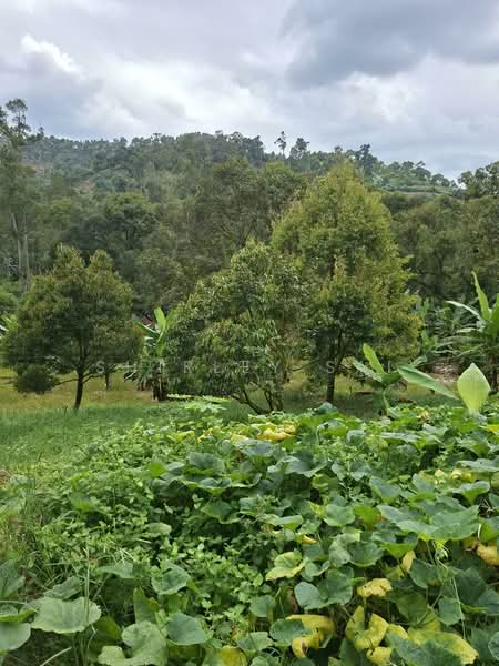 Kampung Sungai Chetang untuk Untuk Dijual - RM 2,800,000, Apr 2026 - PropertyGuru.com.my