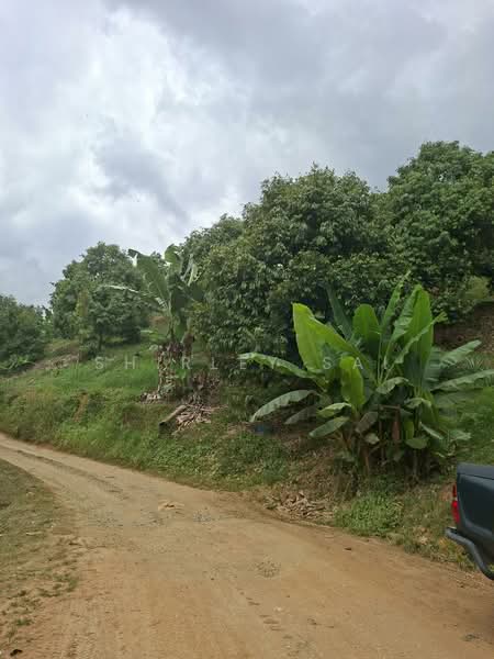 Kampung Sungai Chetang untuk Untuk Dijual - RM 2,800,000, Apr 2026 - PropertyGuru.com.my