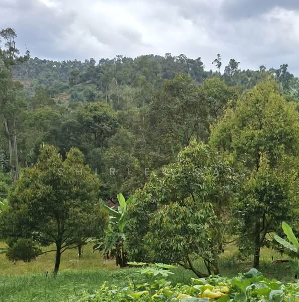 Kampung Sungai Chetang untuk Untuk Dijual - RM 2,800,000, Apr 2026 - Exterior - PropertyGuru.com.my