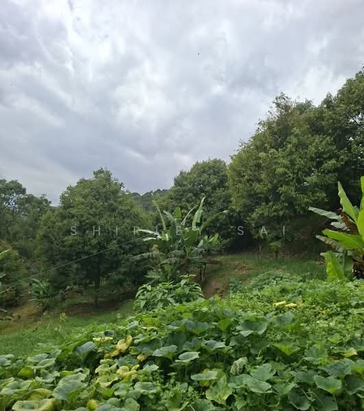 Kampung Sungai Chetang untuk Untuk Dijual - RM 2,800,000, Apr 2026 - Garden - PropertyGuru.com.my