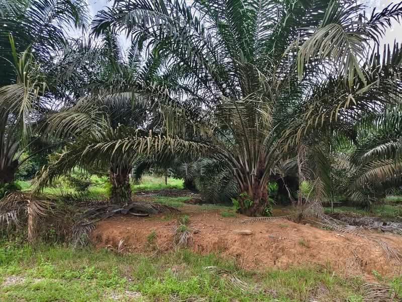 Mersing untuk Untuk Dijual - RM 4,100,000, Mac 2026 - Garden - PropertyGuru.com.my