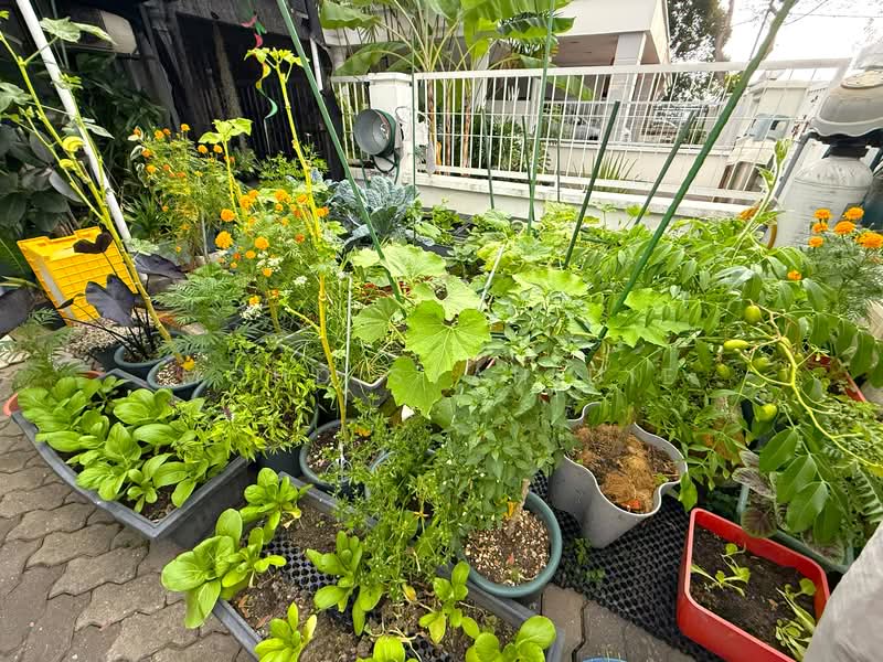 Bandar Sri Damansara untuk Untuk Dijual - RM 1,200,000, Mac 2026 - Garden - PropertyGuru.com.my