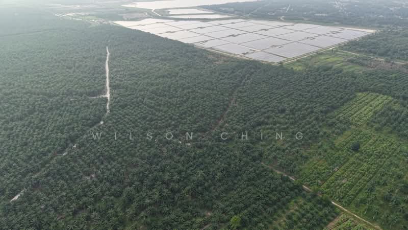 Industrial Land for Sale in Bandar Seri Ehsan (Tanjong Duabelas) - Wilson Ching - PropertyGuru.com.my
