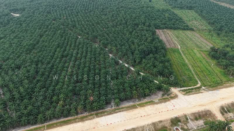 Industrial Land for Sale in Bandar Seri Ehsan (Tanjong Duabelas) - Wilson Ching - Exterior - PropertyGuru.com.my