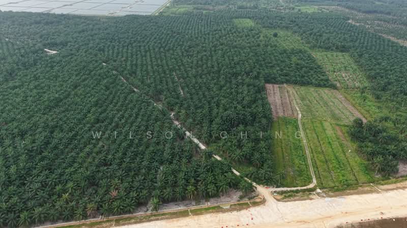 Industrial Land for Sale in Bandar Seri Ehsan (Tanjong Duabelas) - Wilson Ching - Exterior - PropertyGuru.com.my