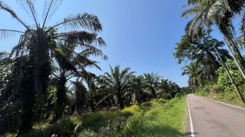 Tanah Kediaman untuk Dijual di Taman Bintang Utama (Senai) - Shi Ting - Exterior - PropertyGuru.com.my