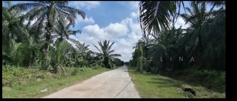 Other Property for Sale in Kampung Bukit Changgang (Tanjong Duabelas) - Ching Mei Selina Lee - Exterior - PropertyGuru.com.my