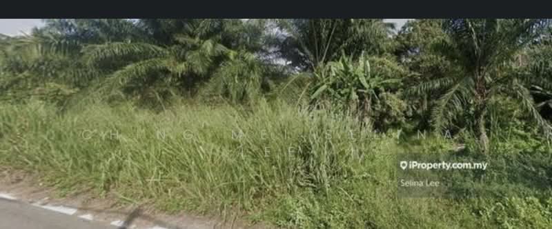 Other Property for Sale in Kampung Bukit Changgang (Tanjong Duabelas) - Ching Mei Selina Lee - PropertyGuru.com.my
