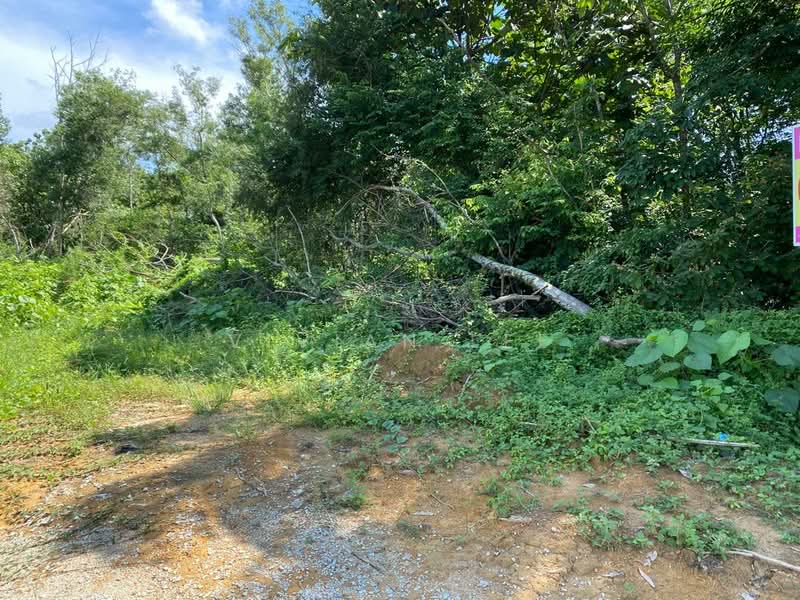 Commercial Land for Sale in Rawang (Selangor) - Vivian Lee - Exterior - PropertyGuru.com.my