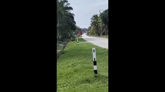 Agricultural Land for Sale in Port Dickson (Negeri Sembilan) - David Cheok - PropertyGuru.com.my