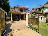 For Sale - Oncidium Heights