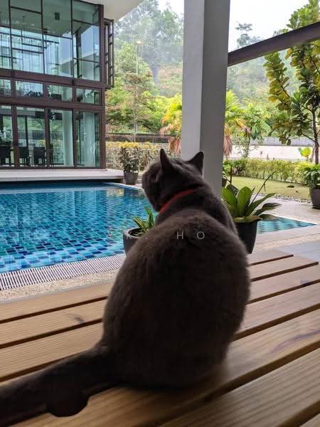 Rumah Banglo untuk Dijual di Ampang Jaya (Ampang) - YK. Ho - Exterior - PropertyGuru.com.my