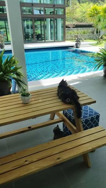 Rumah Banglo untuk Dijual di Ampang Jaya (Ampang) - YK. Ho - Exterior - PropertyGuru.com.my