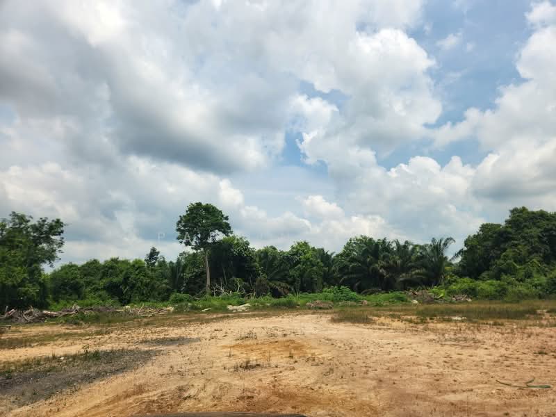 Tanah Perindustrian untuk Dijual di Pekan Nenas (Jeram Batu) - Parkin Lee - Exterior - PropertyGuru.com.my