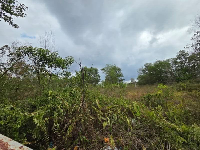 Tanah Perindustrian untuk Dijual di Pekan Nenas (Jeram Batu) - Parkin Lee - Exterior - PropertyGuru.com.my