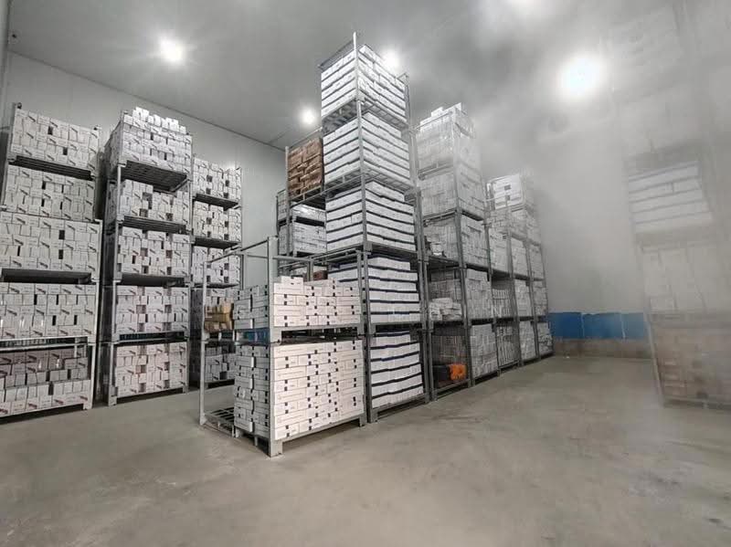 Commercial Semi-D for Sale in Kapar (Selangor) - Ester Chin - Interior - PropertyGuru.com.my